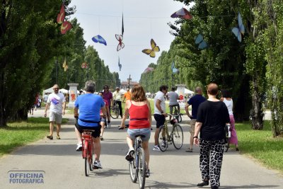 La Festa